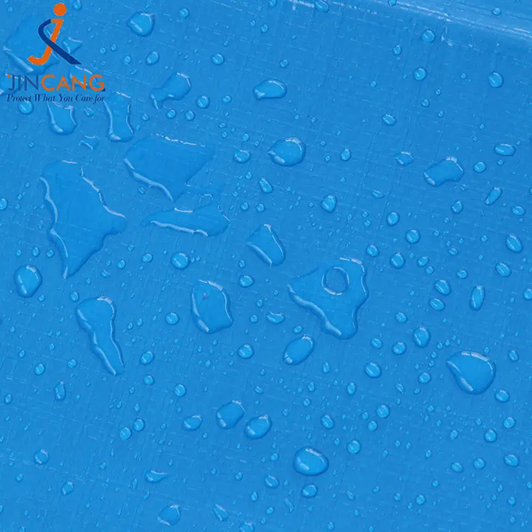 220g μπλε λευκό με εκτύπωση pe tarpaulin