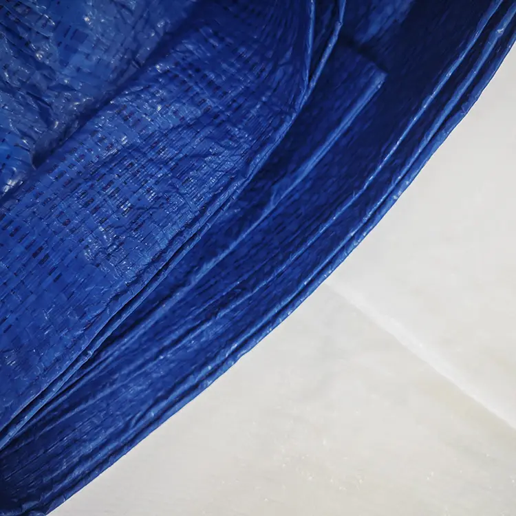 60g μπλε Tarpaulin
