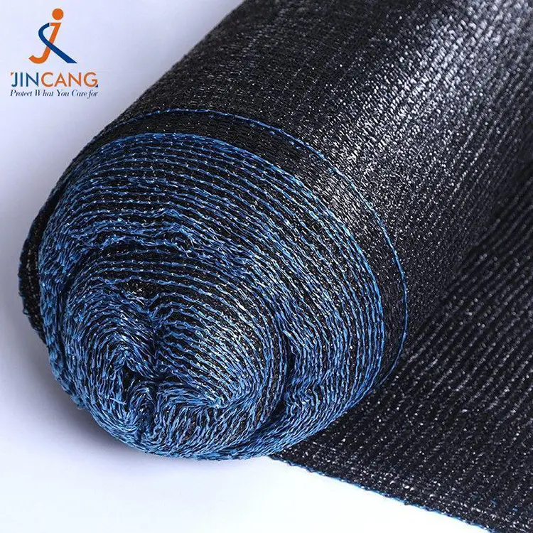 Κυρία και απόχρωση καιρού Κυρία και απόχρωση καιρού