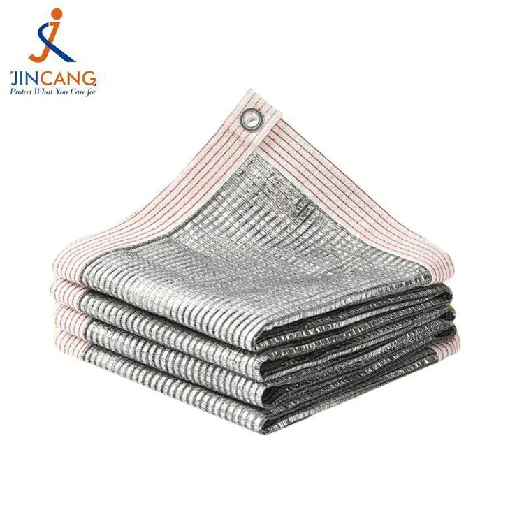 Κυρία και απόχρωση καιρού