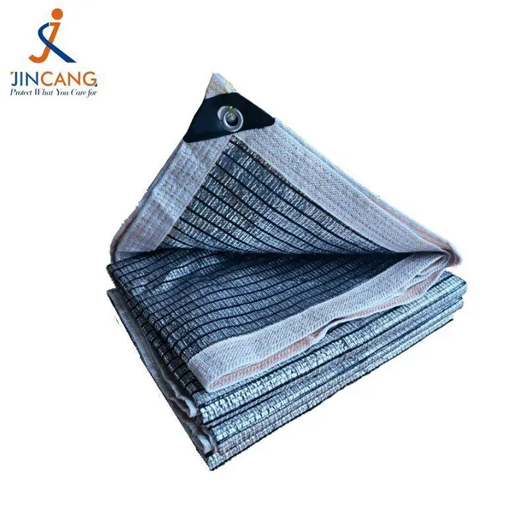 Κυρία και απόχρωση καιρού