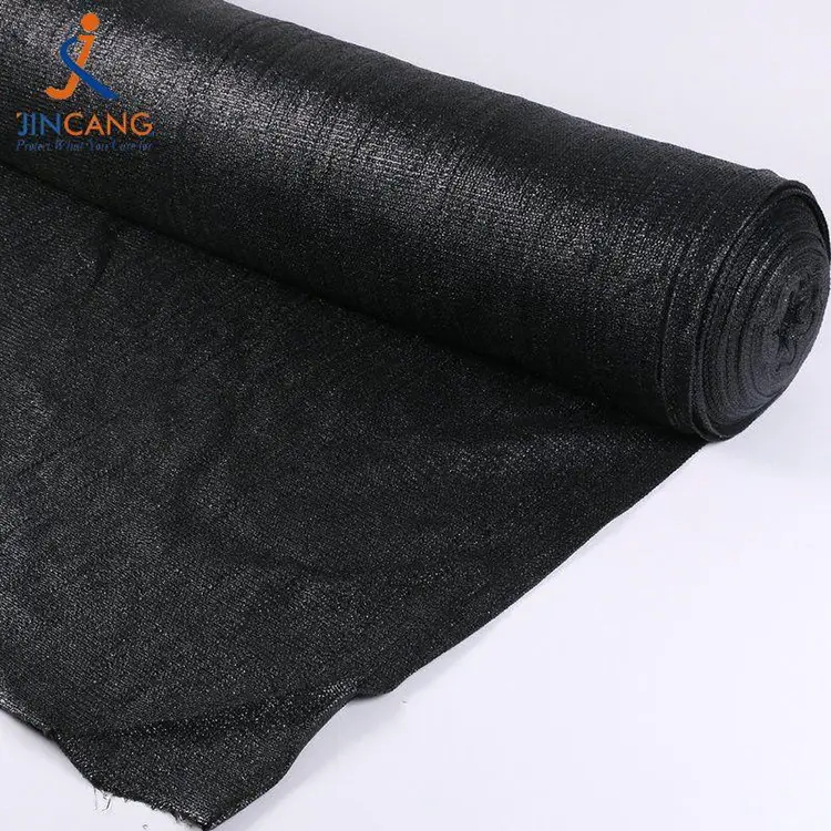 Κυρία και απόχρωση καιρού