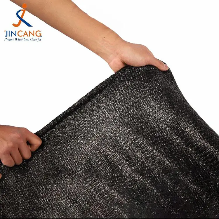 Κυρία και απόχρωση καιρού