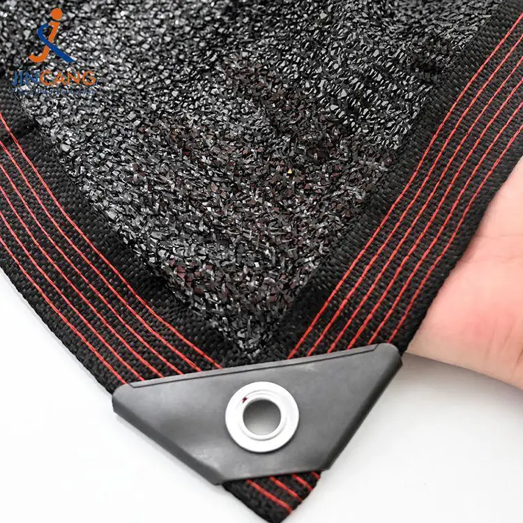 Κυρία και απόχρωση καιρού