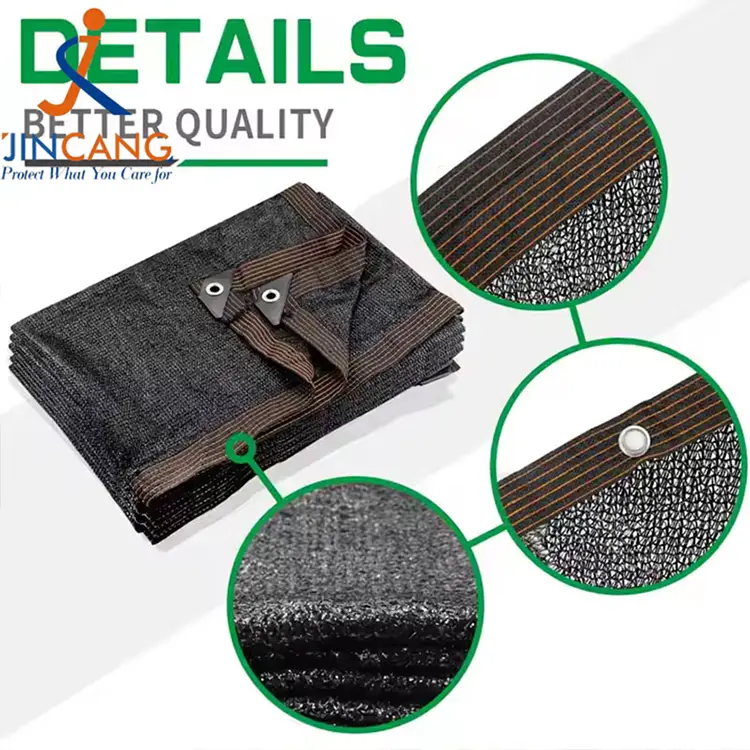 Ήλιος πανί Ήλιος πανί