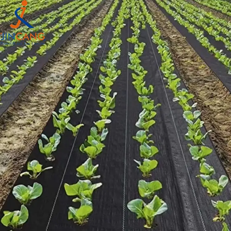 Ανθεκτικό χαλάκι ζιζανίων